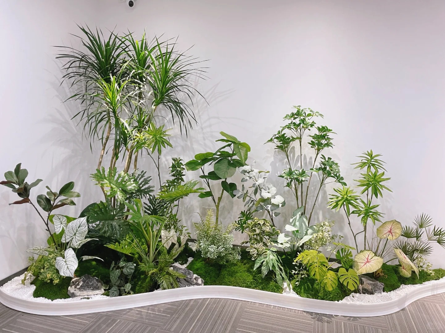 价格实惠的植物租赁哪里找？宁波慈溪别错过！